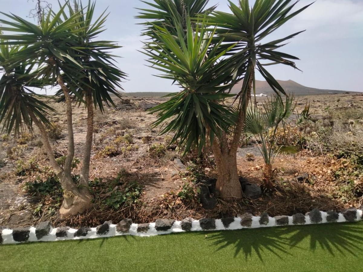 Lanzarote Casa Volcanica-Anclada Sobre La Lava Del Volcan Montana Blanca Exteriér fotografie