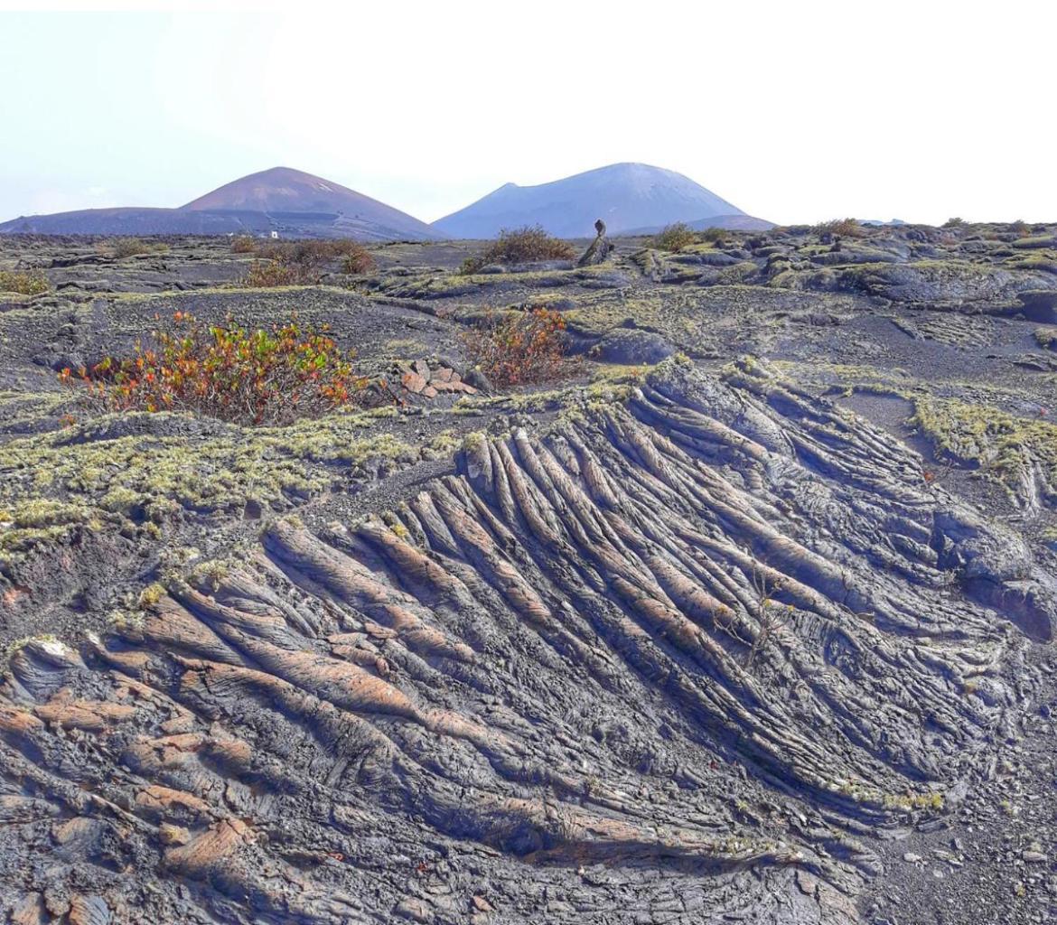 Lanzarote Casa Volcanica-Anclada Sobre La Lava Del Volcan Montana Blanca Exteriér fotografie