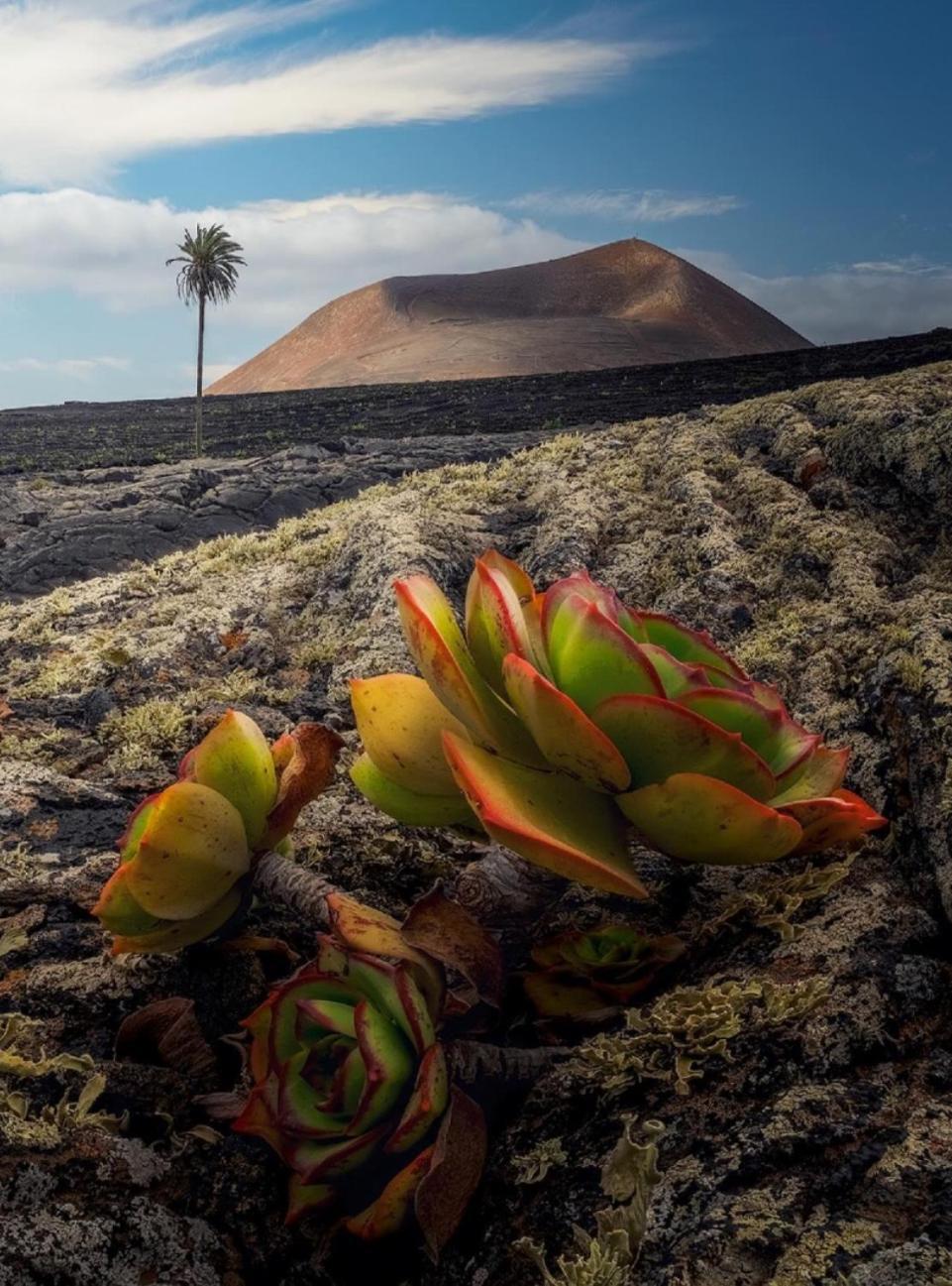 Lanzarote Casa Volcanica-Anclada Sobre La Lava Del Volcan Montana Blanca Exteriér fotografie